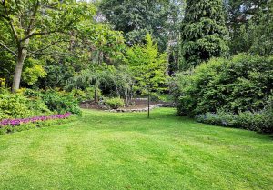 Optimiser l'expérience du jardin à Chevry-Cossigny